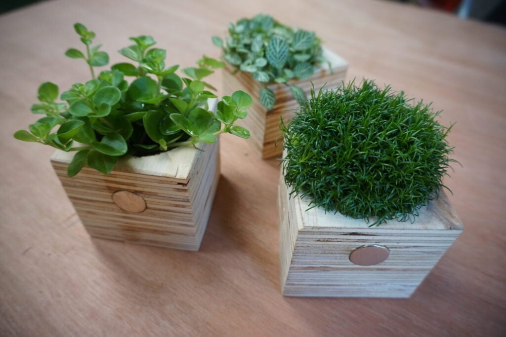 Magnetische plantenbakjes