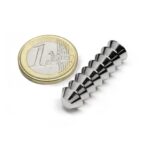 Conusvormige magneet | Neodymium | 10x5x4mm Houdkracht ca. 1,2 kg