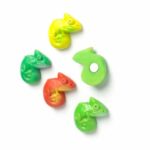 Koelkastmagneten | Chameleon