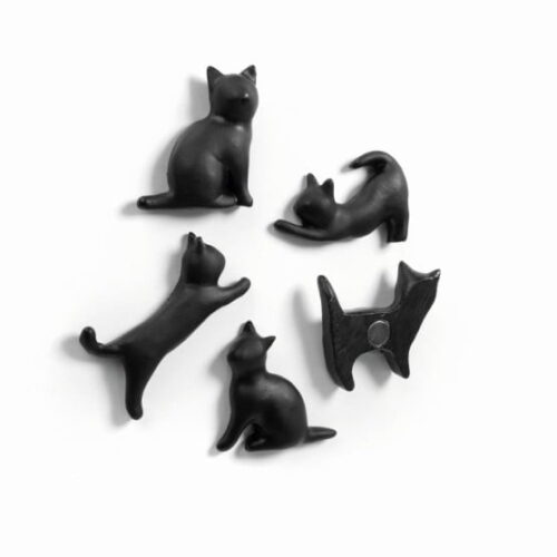 Koelkastmagneten | Meow