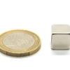 10 mm. Houdkracht ± 3,8 kg.