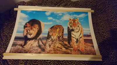 Poster ophangen met magneten