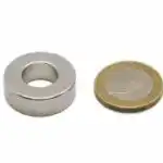 ringmagneten