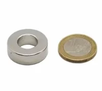 ringmagneten