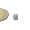 ø6 hoogte 6 mm. Houdkracht ± 1,2 kg.