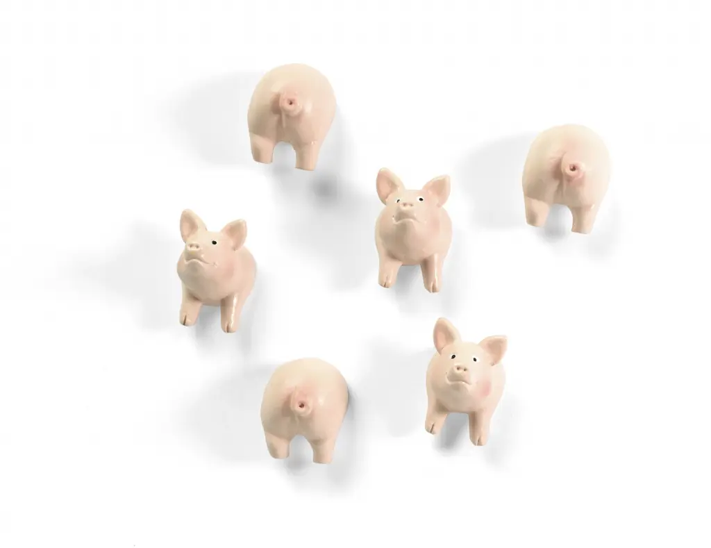 Koelkastmagneten | Piggy 1 Koelkastmagneten | Piggy